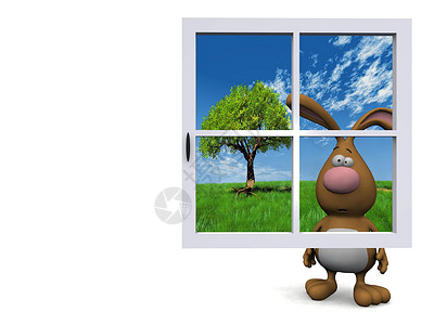 蓝窗后面的兔子背景图片