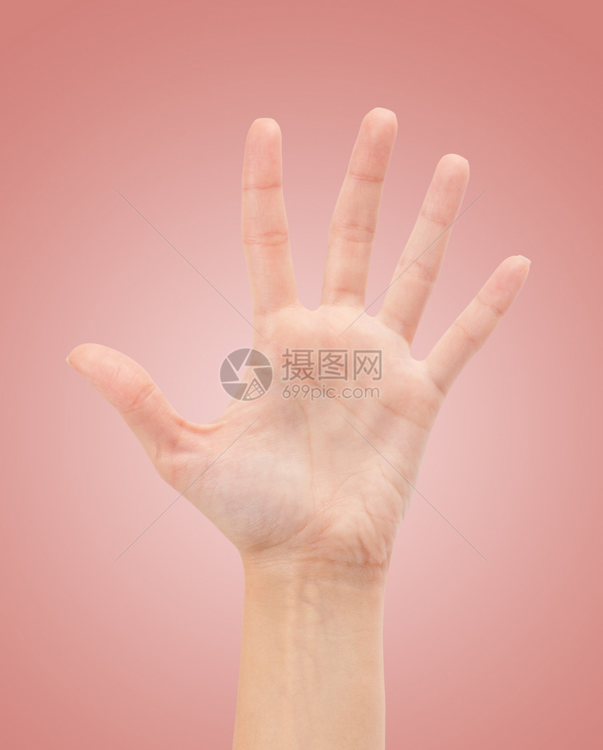 露露女性手或五号女孩男人问候语数数数字指甲棕榈商业男性手指图片