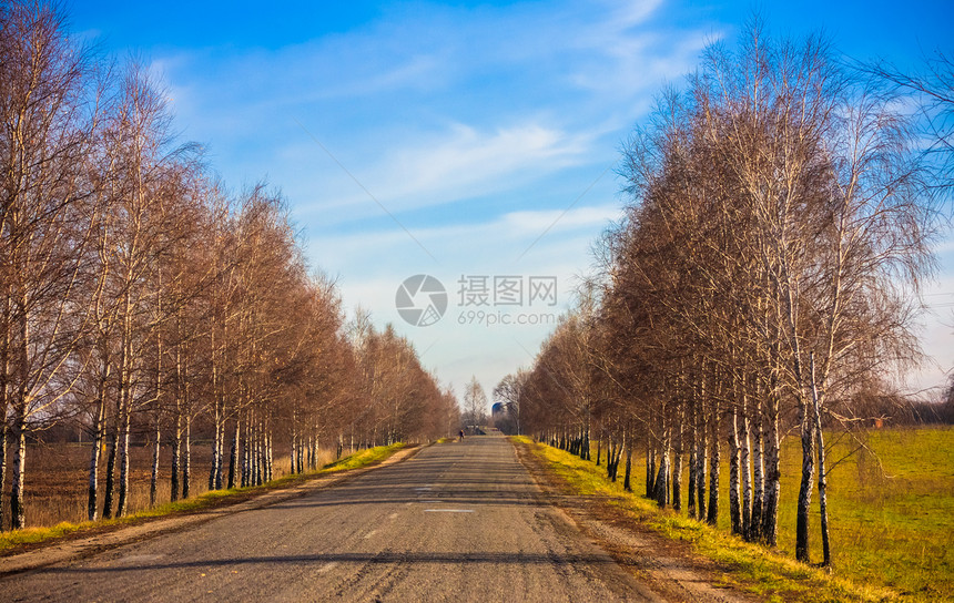 达斯地路绿色环境植物乡村小路农村生活季节场景国家图片