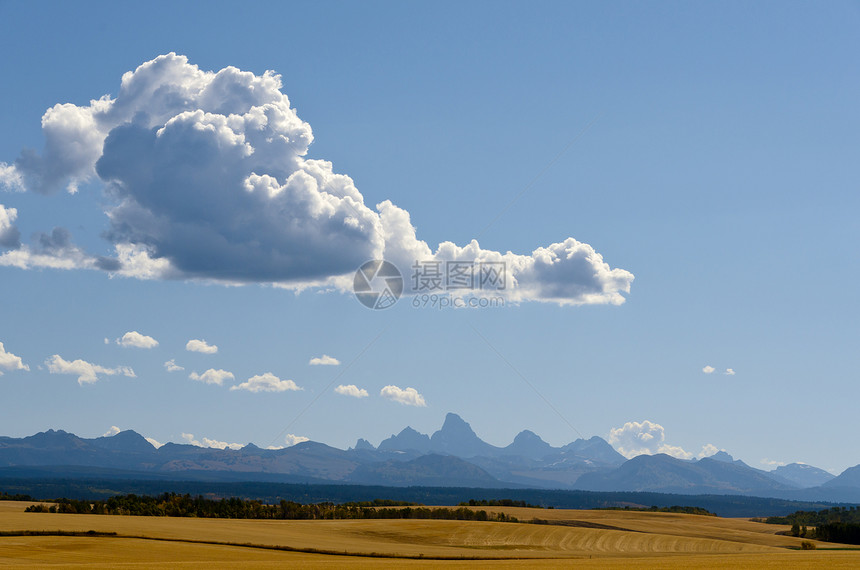 美国爱达荷州Teton县Teton县收获田地 Teton山和积积云云图片