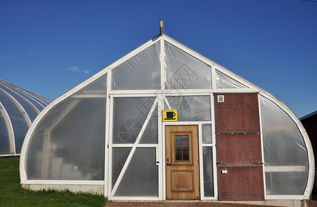 温室食物蔬菜状况塑料帐篷销售生产天线房子农业背景图片