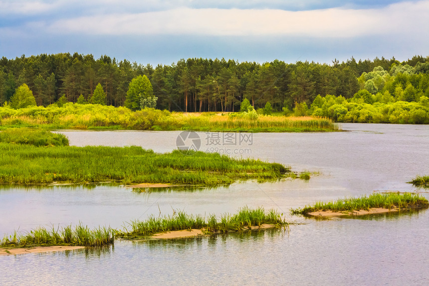 河流和森林的景色风景池塘乡村场景公园涟漪绿色土地天空溪流图片