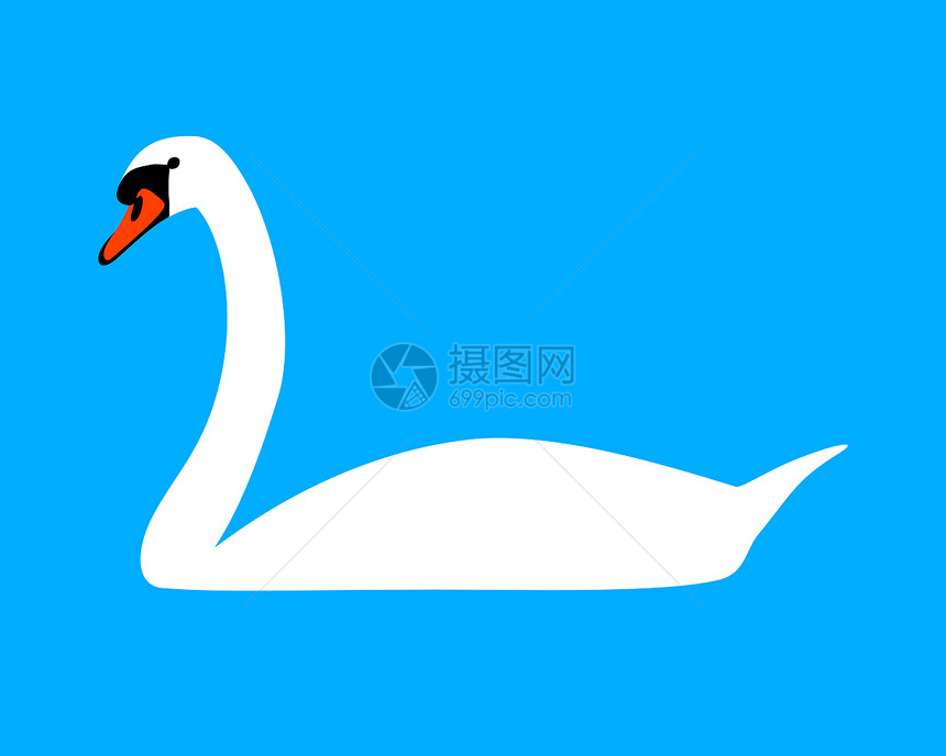白天鹅野生动物账单白色蓝色动物插图图片
