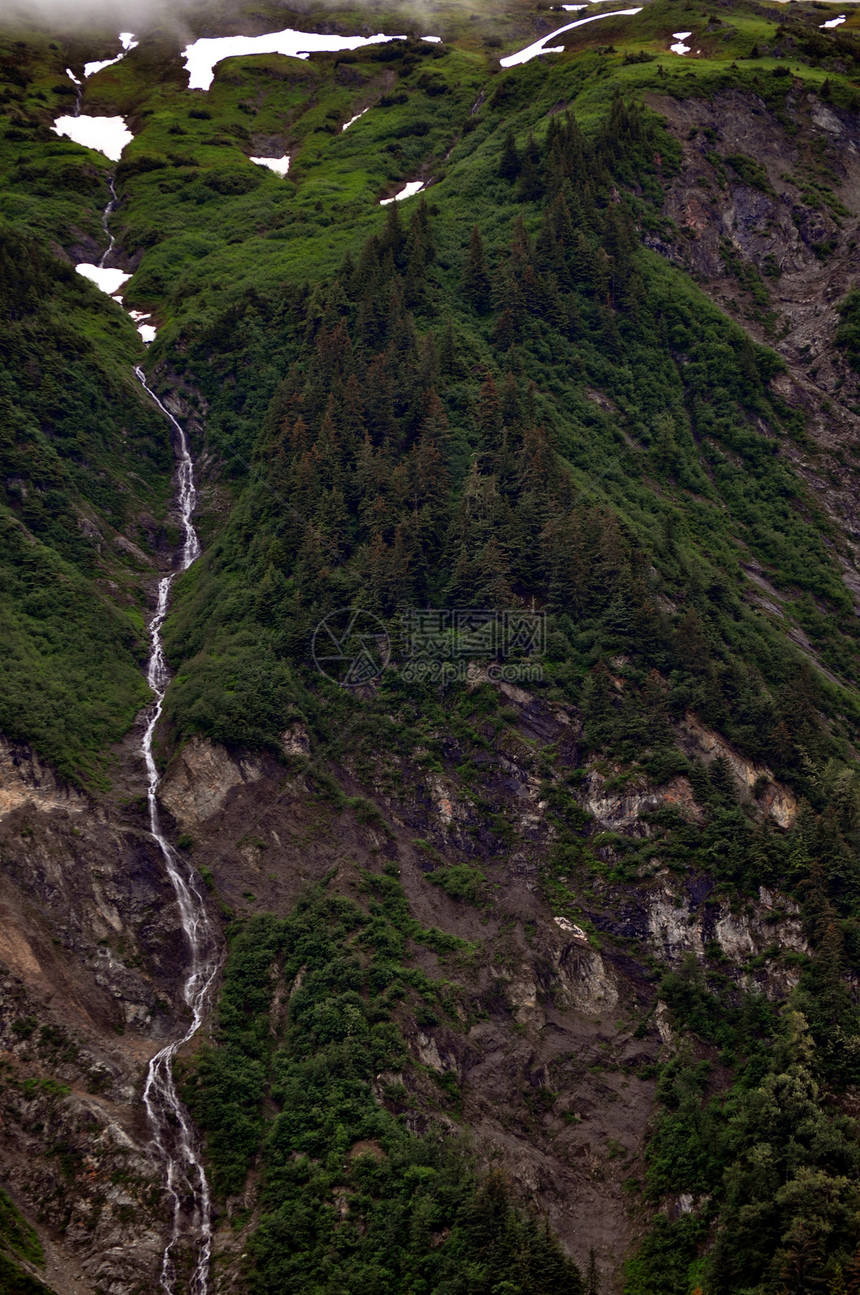 Juneau海岸线叶子树木山脉图片
