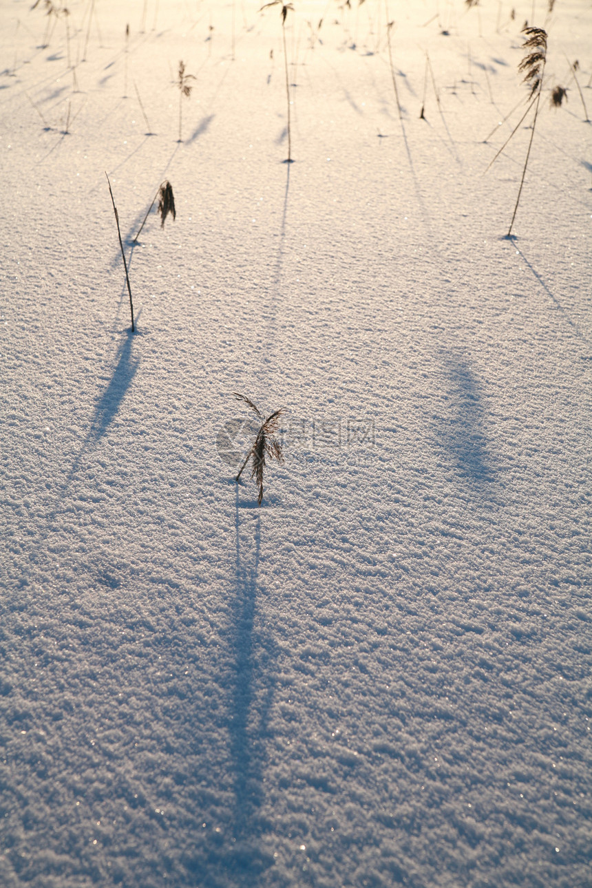 雪地表面雪花冬景蓝色水晶薄片四要素季节性白色冰柱天空图片