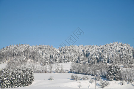 冬天森林孤独场地时间单人纸牌薄片雪花冷冻水晶图片