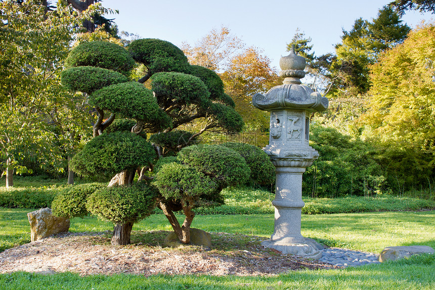 日本花园的石灯和普鲁兹·邦赛树图片