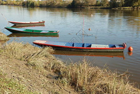 河上的船只传统反思凸轮下注者平底船划桨农村乡村背景图片