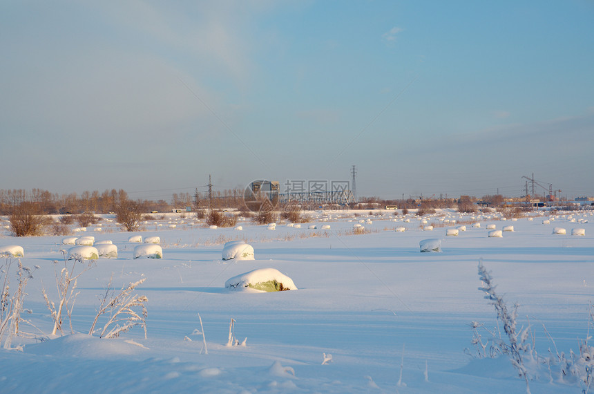 雪田中冻结的树木旅行白色仙境雪花雪堆蓝色天空场景季节森林图片