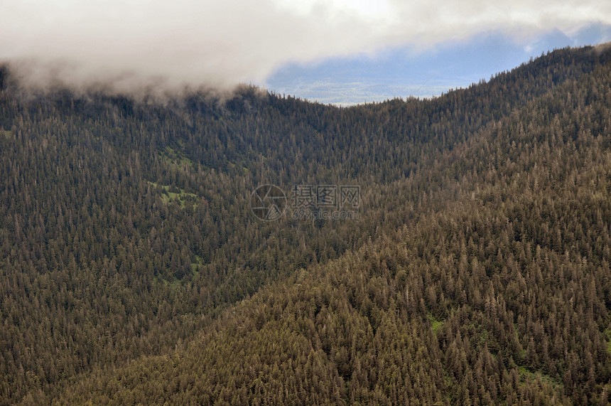 阿拉斯加山脉岩石叶子崎岖山脉树木图片