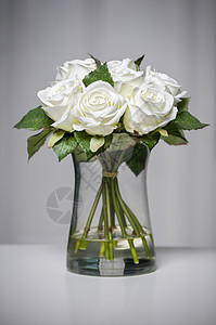 花瓶中的白玫瑰背景图片