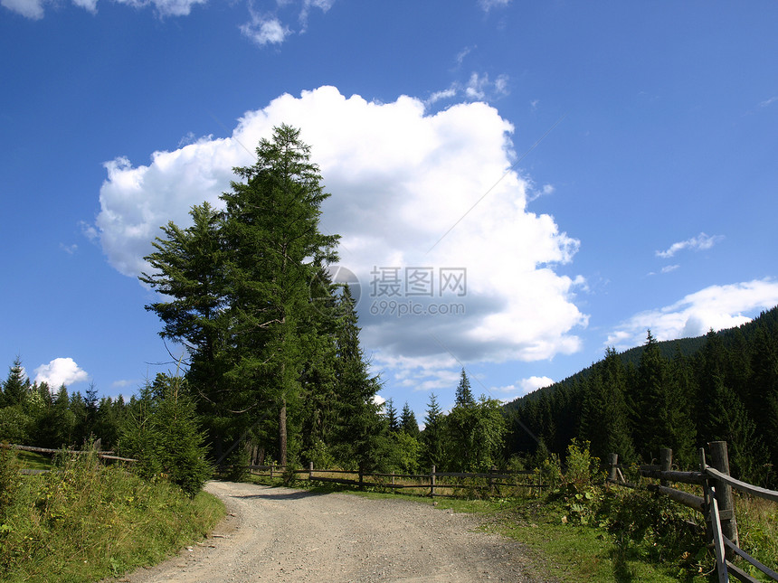 通往山区的公路高山树木蓝色白色绿色森林爬坡松树山脉天空图片