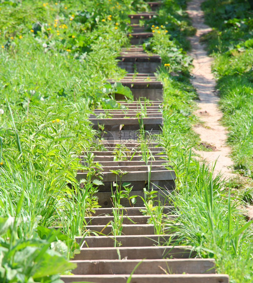 木制梯子位于山坡上公园叶子美丽树叶场地踪迹楼梯花朵环境小路图片