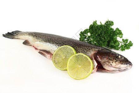 鳟鱼米勒特鲁营养淡水眼睛食物鱼头香菜养殖居住青柠鳟鱼背景