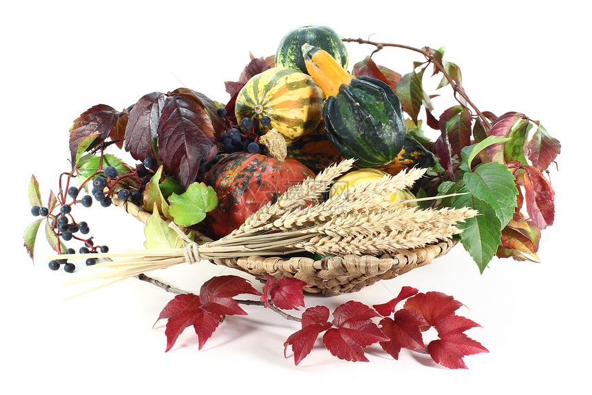 感感感恩篮子小麦南瓜市场观赏水果蔬菜季节丰收葫芦麦穗图片