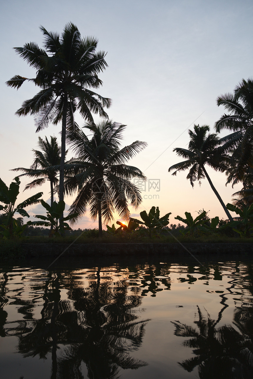 喀拉拉腊背水的日落手掌波纹反射死水地平线运河风景热带太阳图片