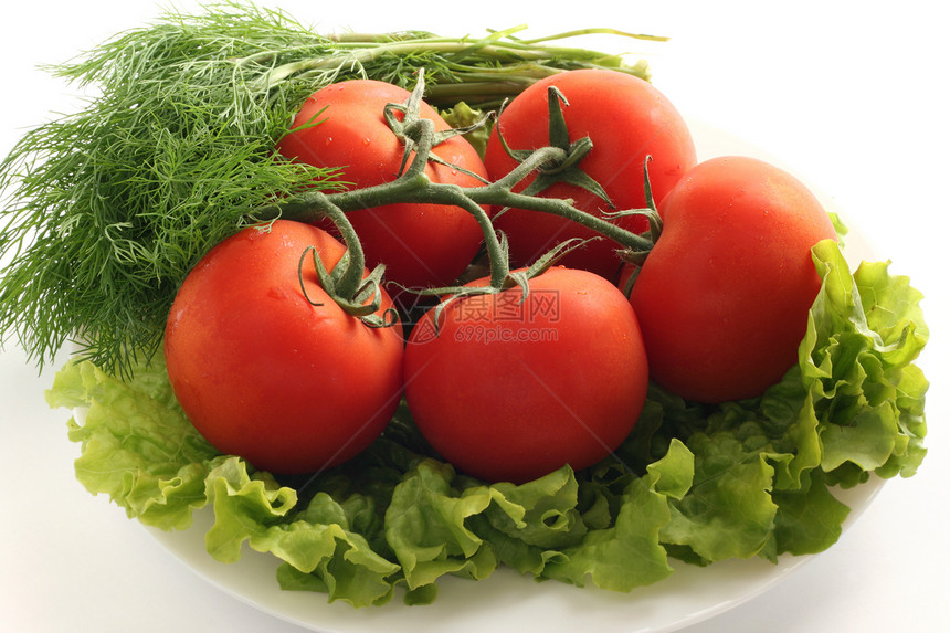 番茄加生菜和图片