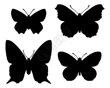 蝴蝶素材图蝴蝶环形图剪贴插图动物黑色昆虫学背景