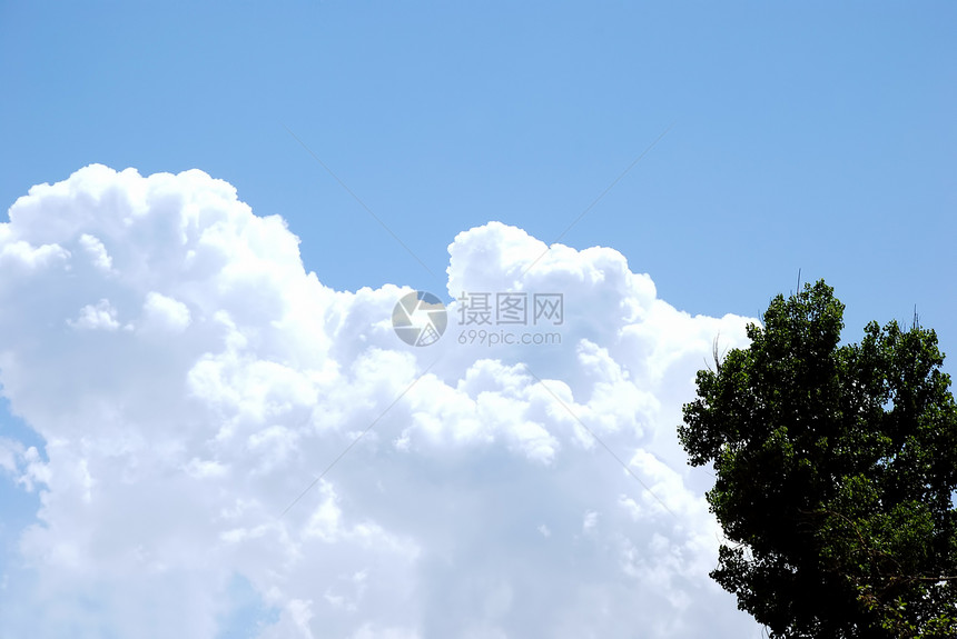 厚云风暴云环境自然现象天气空气风景水平植物色彩绿色图片