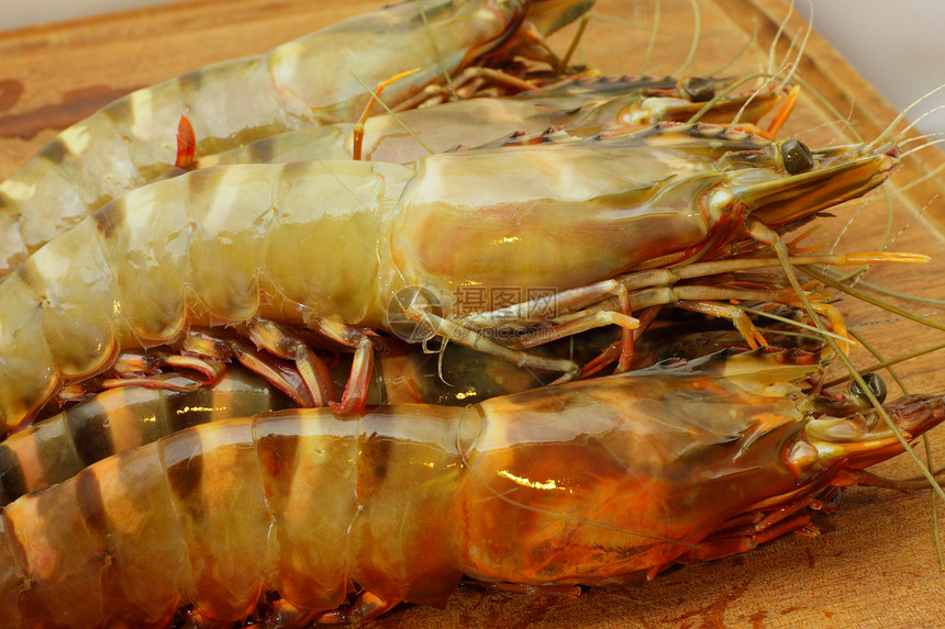 大老虎新鲜虾 王龙虾 大虾老虎团体黑色白色甲壳海鲜食物绿色动物贝类图片