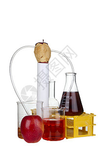 科学节食食品分析分析食物饮食烧瓶创新营养实验室科学器皿营养素美食背景