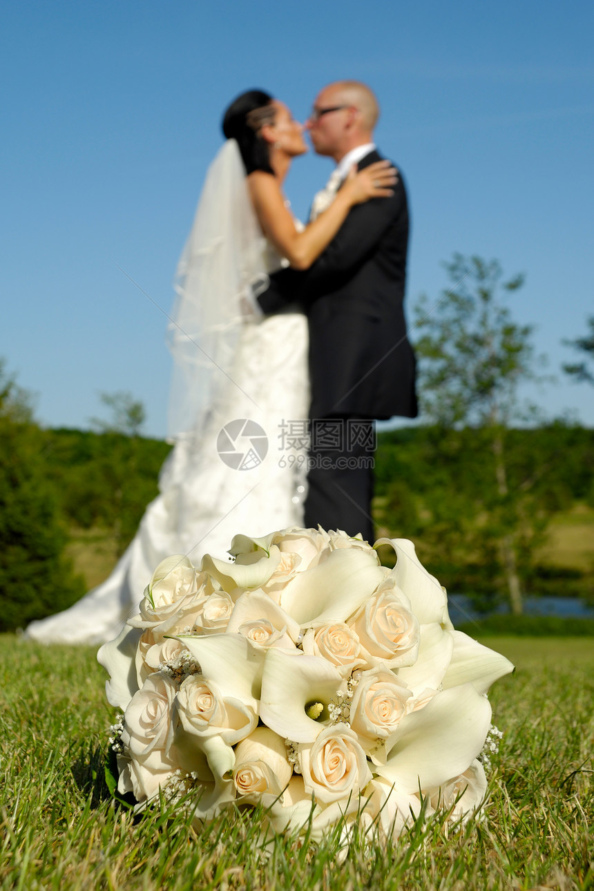婚礼花束黑发妻子丈夫领带裙子幸福公园面纱女士快乐图片
