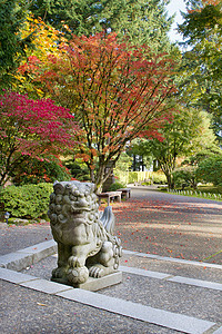 日本花园的石石狮保护神石石雕像背景