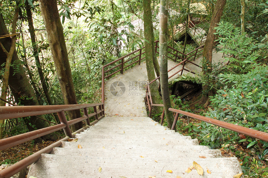 通往丛林的楼梯 乔亚伊国家公园小路岩石石头探索花园森林木头踪迹脚步叶子图片
