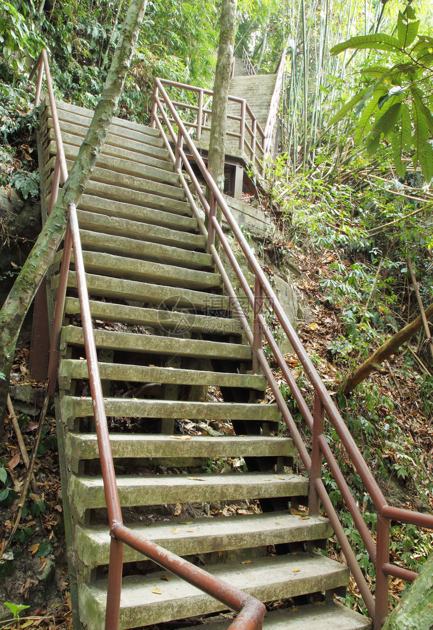 通往丛林的楼梯 乔亚伊国家公园环境公园途径探索森林人行道木头踪迹荒野岩石图片
