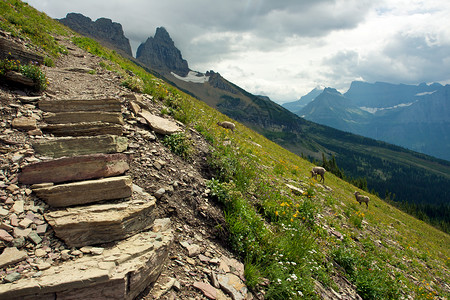 通往天堂的阶梯冰川楼梯旅行山脉峰会远足高线山峰公园踪迹背景图片