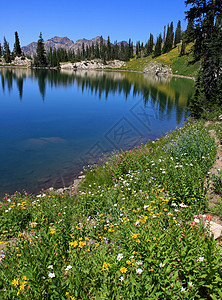 夏季湖风景树木远足孤峰反射峰会镜像山峰山脉花朵背景