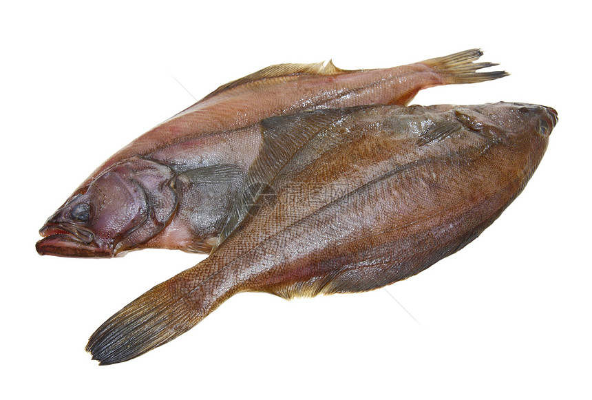 四条新鲜的鱼棕色白色海鲜食物图片