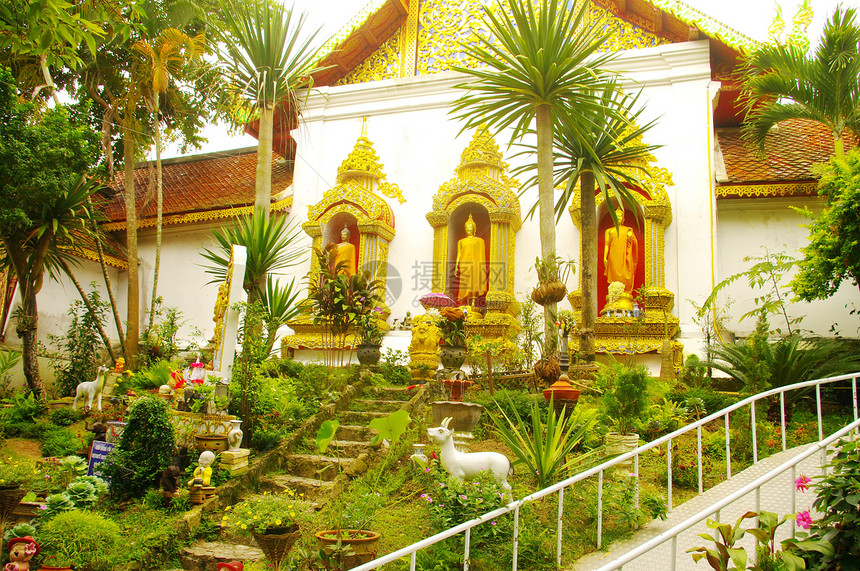 在渡道苏瑟普寺庙的花园里植物寺庙图片