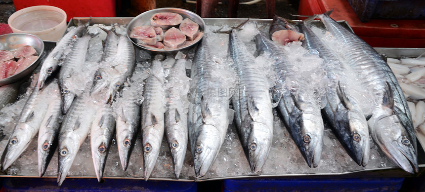 市场上鲜新鲜鱼海产食品品种繁多烹饪维生素钓鱼厨房美味销售美食餐厅海鲜鲭鱼图片