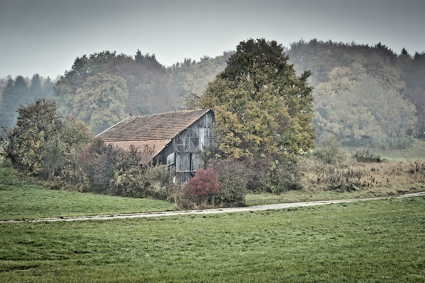 nobel 纳贝季节荒野爬坡墙纸树木薄雾阴霾小屋场地流动图片
