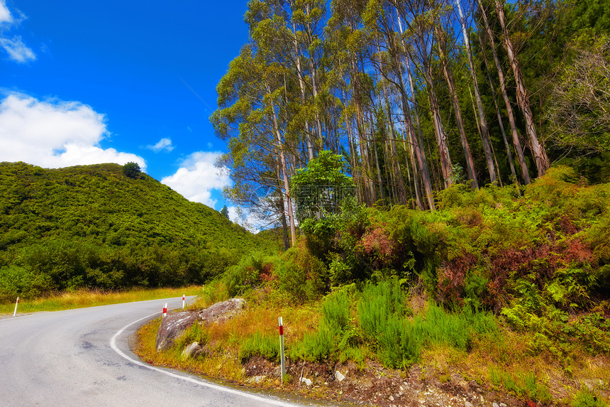 新西兰的景观图景旅行太阳森林天空公吨观光橙子全景山脉风景图片