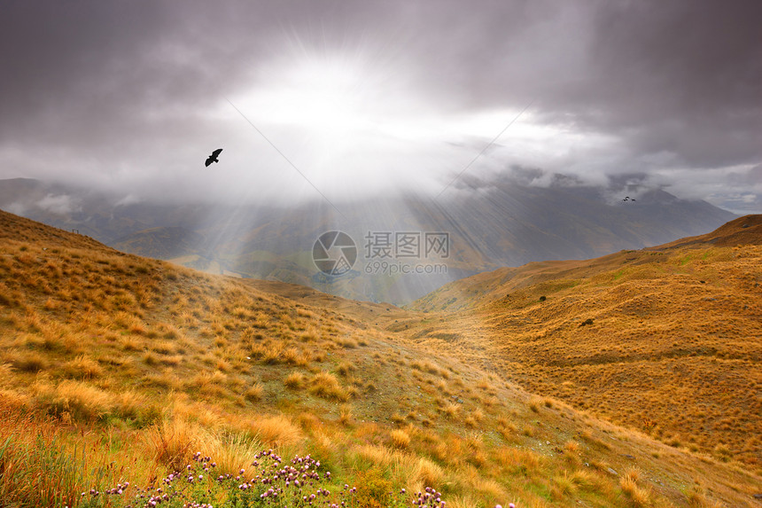 新西兰的景观图景天空太阳森林橙子风景旅行山脉晴天观光射线图片