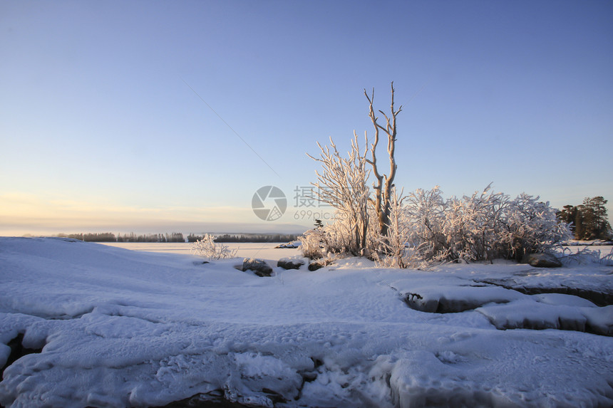 冬季风景美丽场地水晶阳光蓝色荒野阴影季节天空森林图片