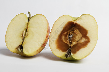 分裂苹果岩变形苹果营养品食物腐烂心皮农村化粪池棕色横截面绿色背景
