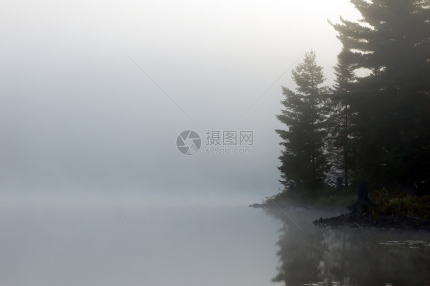 上午池塘云杉薄雾反射天空镜子日出图片