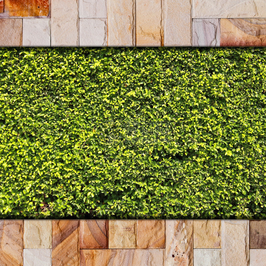 石砖墙和绿叶公园衬套石头城市生态框架草地风格地毯建筑图片