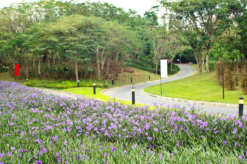 道路植被热带街道土地种植园天空吸引力国家旅行游客图片