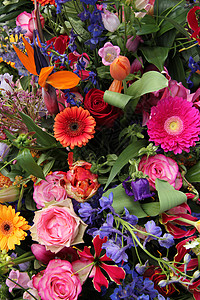 混合花花安排粉色郁金香橙子花朵花束植物群绿色玫瑰植物花瓣背景图片