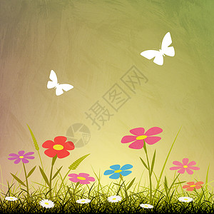 鲜花背景植物插图背景图片
