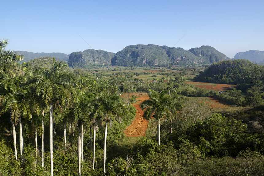 古巴比纳莱斯山丘和山丘的景象图片
