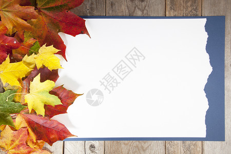 木制背景的秋叶橙子黄色阴影季节白色灰色绿色红色团体叶子背景图片