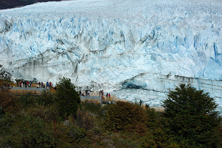 阿根廷冰川阿根廷佩里托莫雷诺冰川爬坡顶峰森林地质学木头冰山风景荒野旅游旅行背景