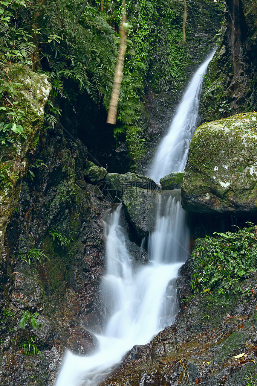深森林瀑布照片叶子岩石生长异国花园旅游旅行假期墙纸图片