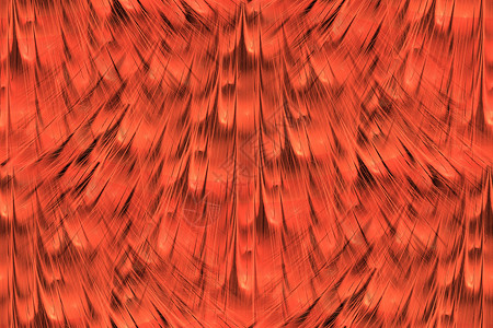 红色火焰状羽毛无缝的可打牌背景墙纸红色插图火焰羽毛背景