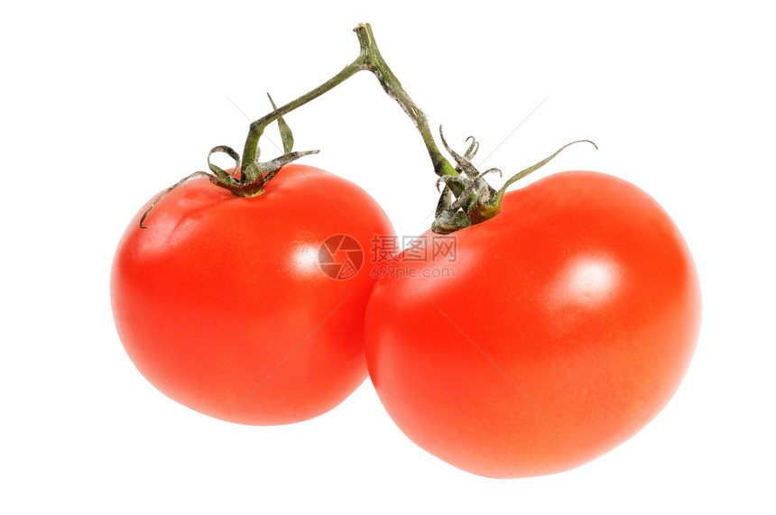 两西红番茄蔬菜红色健康饮食素食生活方式烹饪西红柿图片